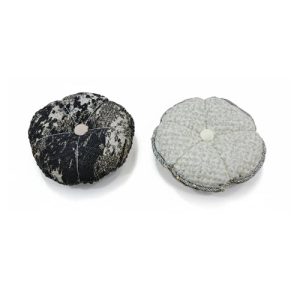 جاسوزنی طرح گل